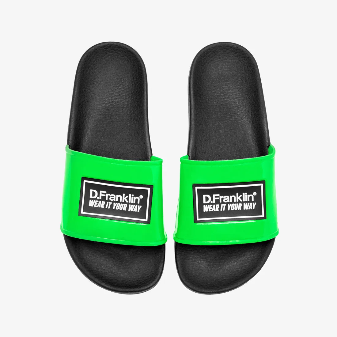 Label Slides Green